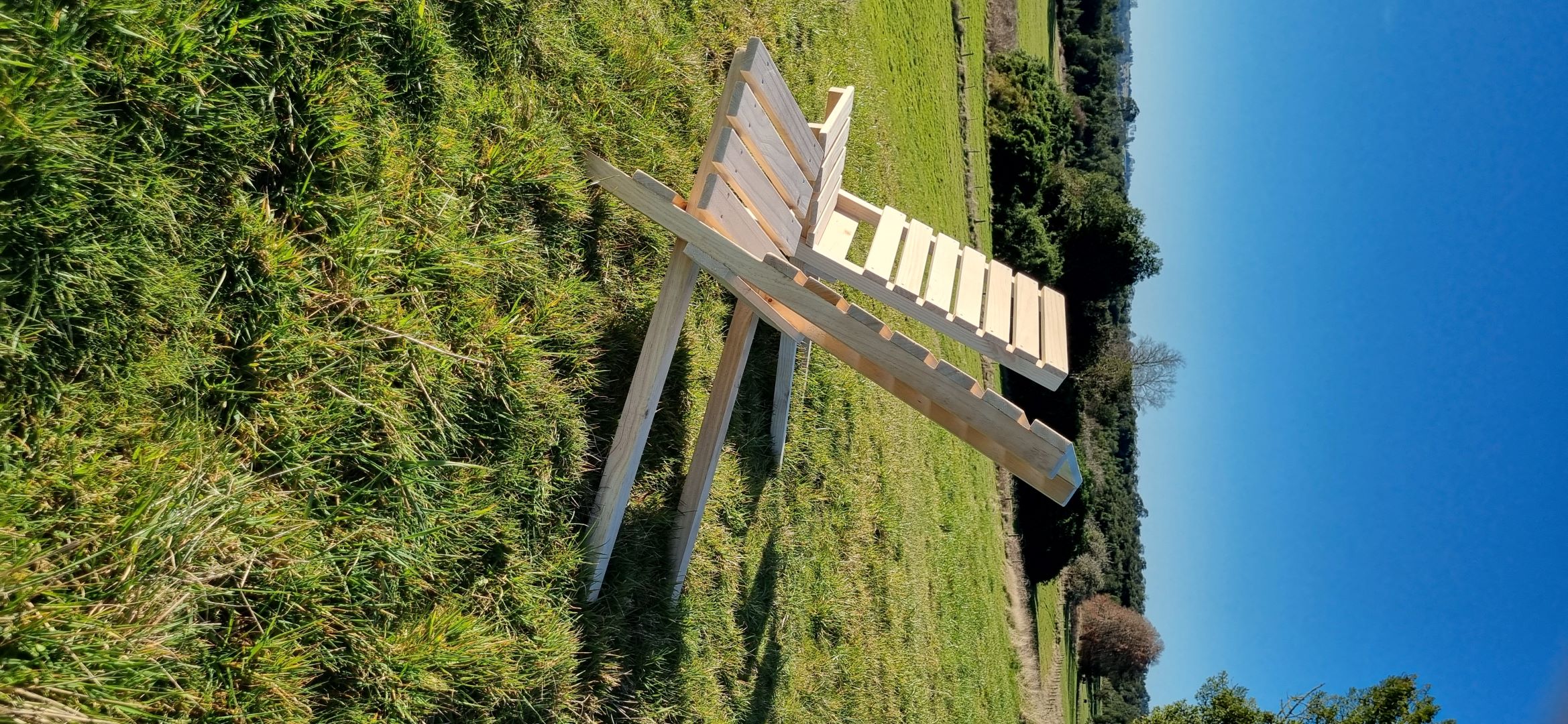 Silla Reposera armable - Imagen 3